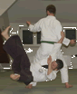 Impressionen vom Aikido-Training